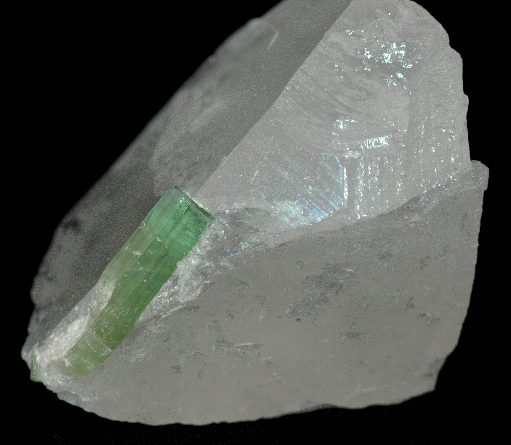Quartz with Tourmaline Crystal Specimen - 34g