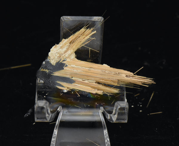 Golden Rutile with Hematite Mineral Specimen - Brazil