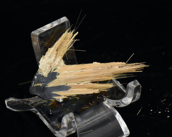 Golden Rutile with Hematite Mineral Specimen - Brazil