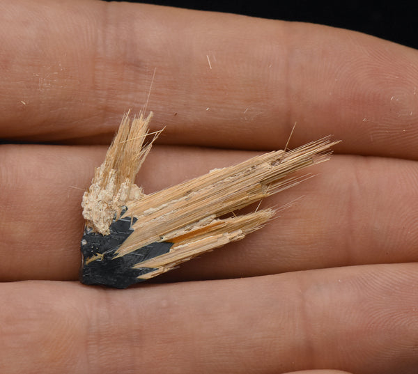 Golden Rutile with Hematite Mineral Specimen - Brazil