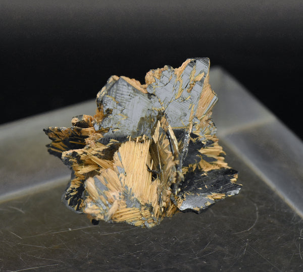 Golden Rutile with Hematite Mineral Specimen - Brazil