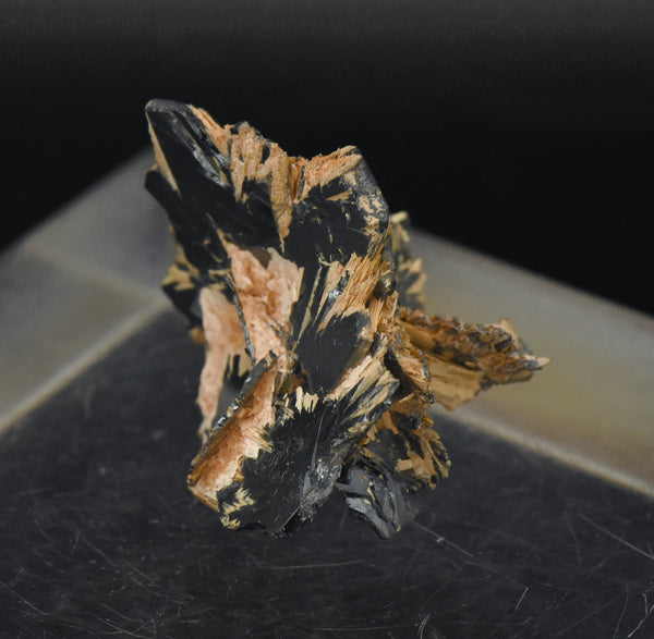 Golden Rutile with Hematite Mineral Specimen - Brazil