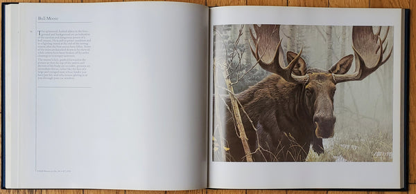 The Art of Robert Bateman - Vintage Art Book