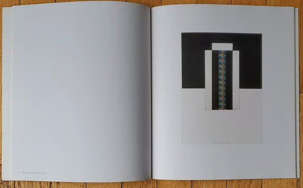 Brice Marden - Thomas Ammann Fine Art Exhibition Vintage Catalog