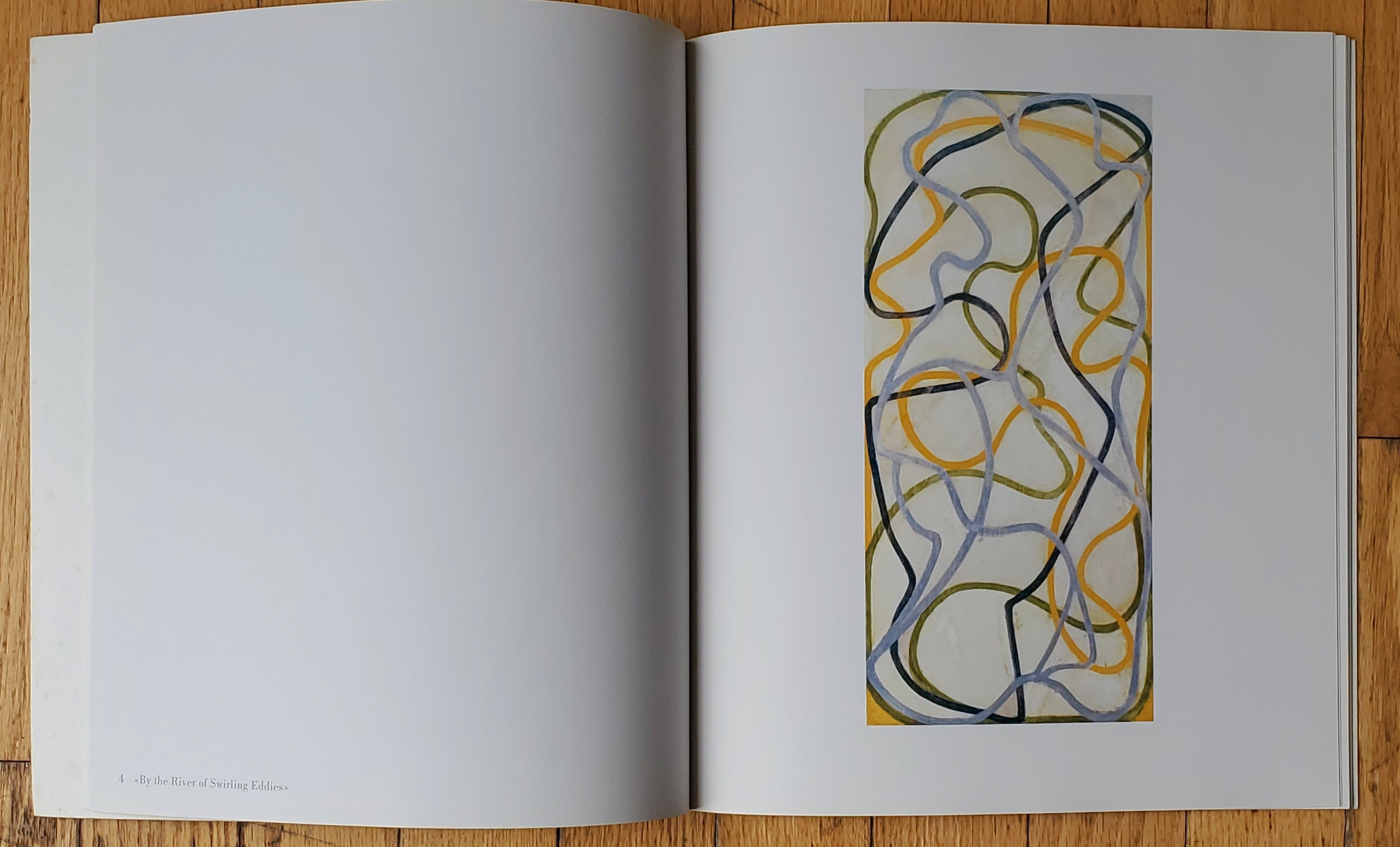 Brice Marden - Thomas Ammann Fine Art Exhibition Vintage Catalog