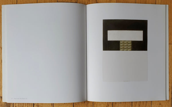 Brice Marden - Thomas Ammann Fine Art Exhibition Vintage Catalog