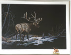 Ron Ukrainetz - Limited Edition Framed "Stag" Print with Artists' Remarque #12 of 25