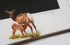 Ron Ukrainetz - Limited Edition Framed "Stag" Print with Artists' Remarque #12 of 25