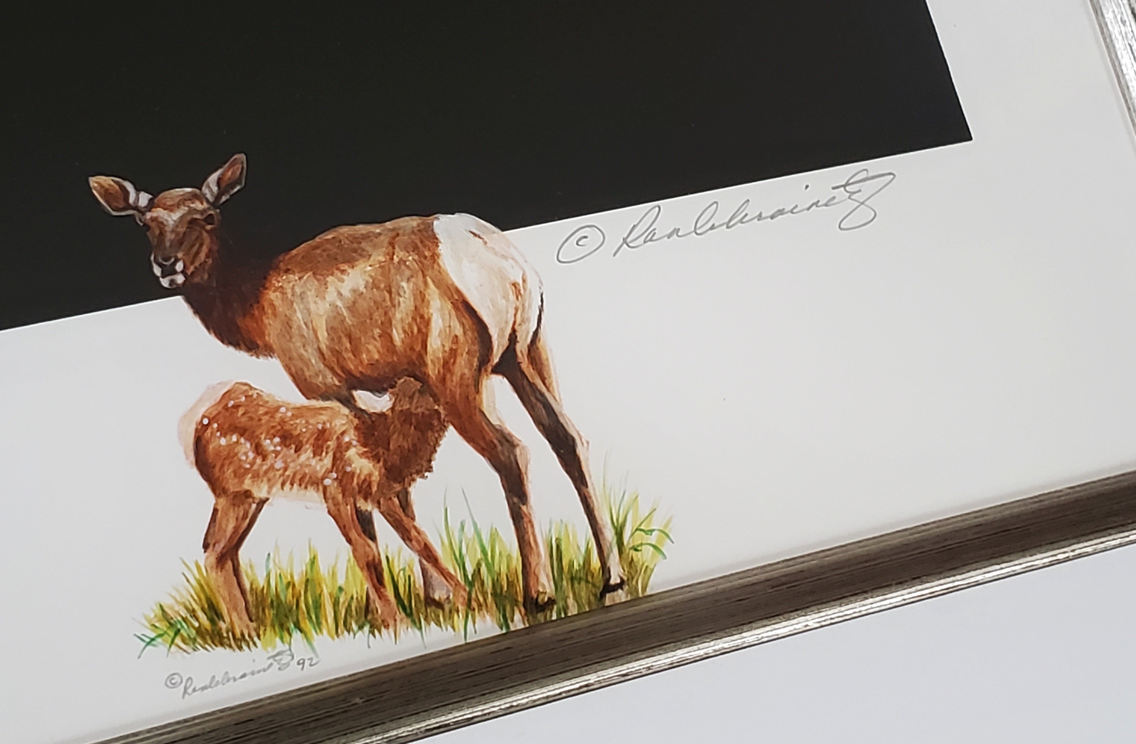 Ron Ukrainetz - Limited Edition Framed "Stag" Print with Artists' Remarque #12 of 25