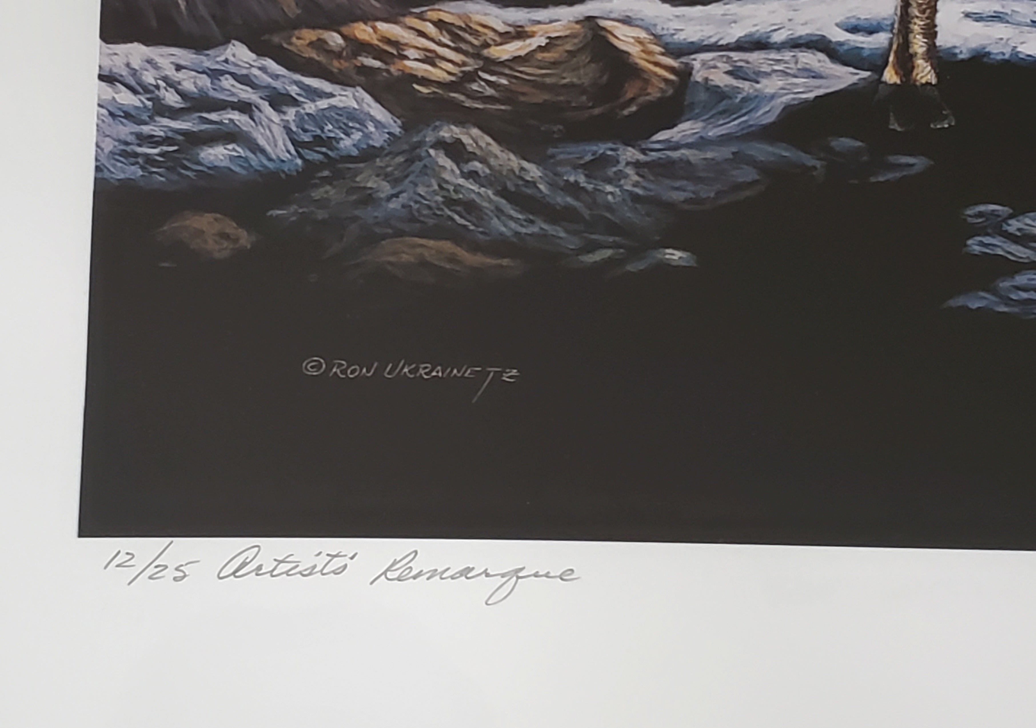 Ron Ukrainetz - Limited Edition Framed "Stag" Print with Artists' Remarque #12 of 25