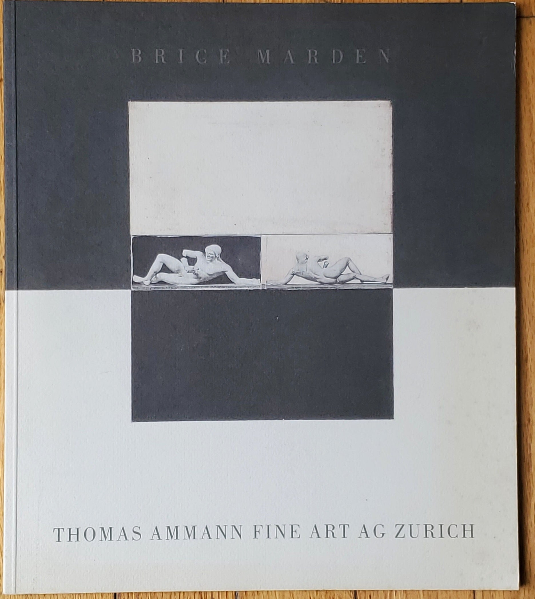 Brice Marden - Thomas Ammann Fine Art Exhibition Vintage Catalog
