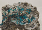 Rosasite with Hemimorphite and Aurichalcite Mounted Thumbnail Specimen - Utah