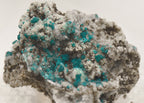 Rosasite with Hemimorphite and Aurichalcite Mounted Thumbnail Specimen - Utah