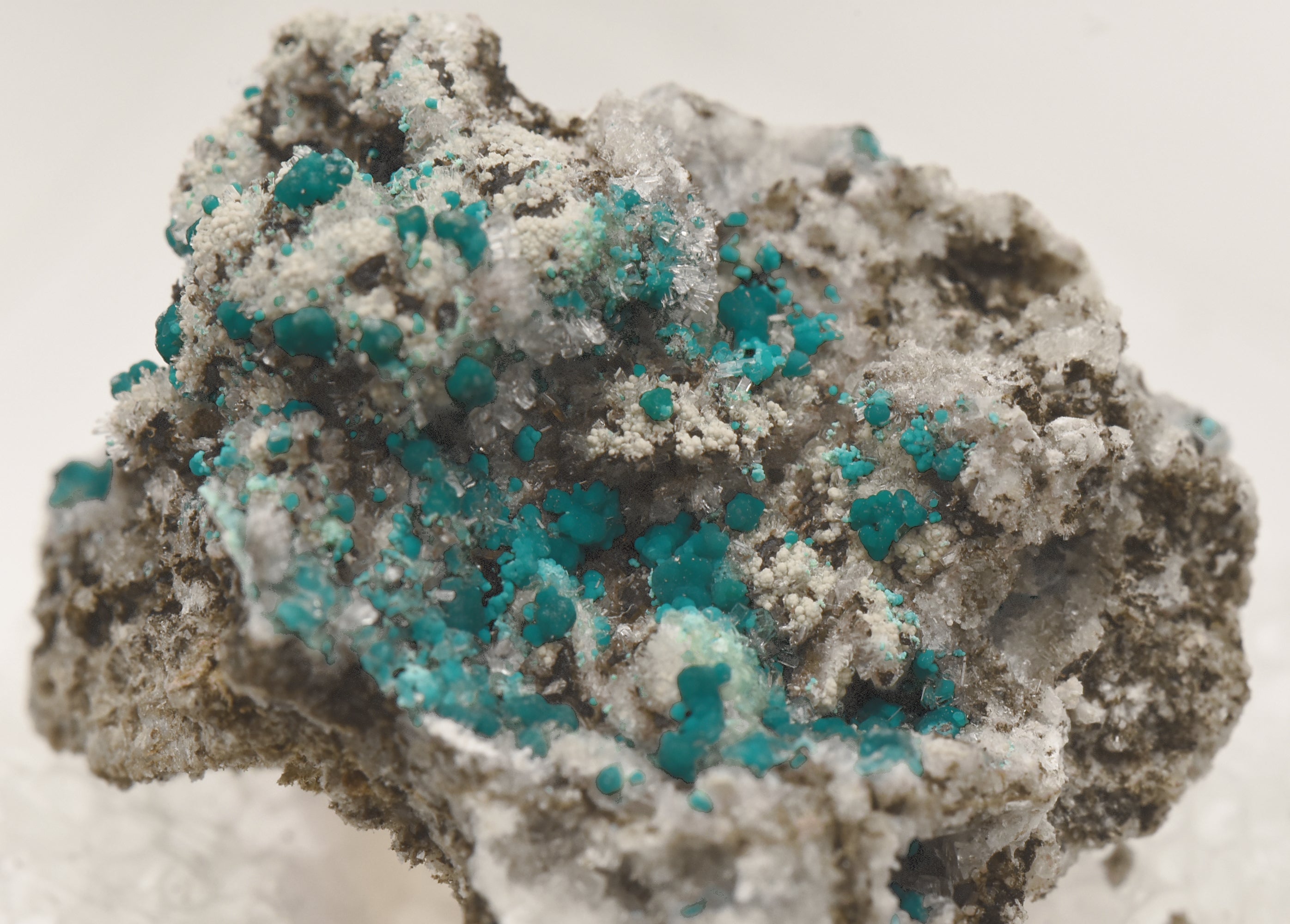 Rosasite with Hemimorphite and Aurichalcite Mounted Thumbnail Specimen - Utah