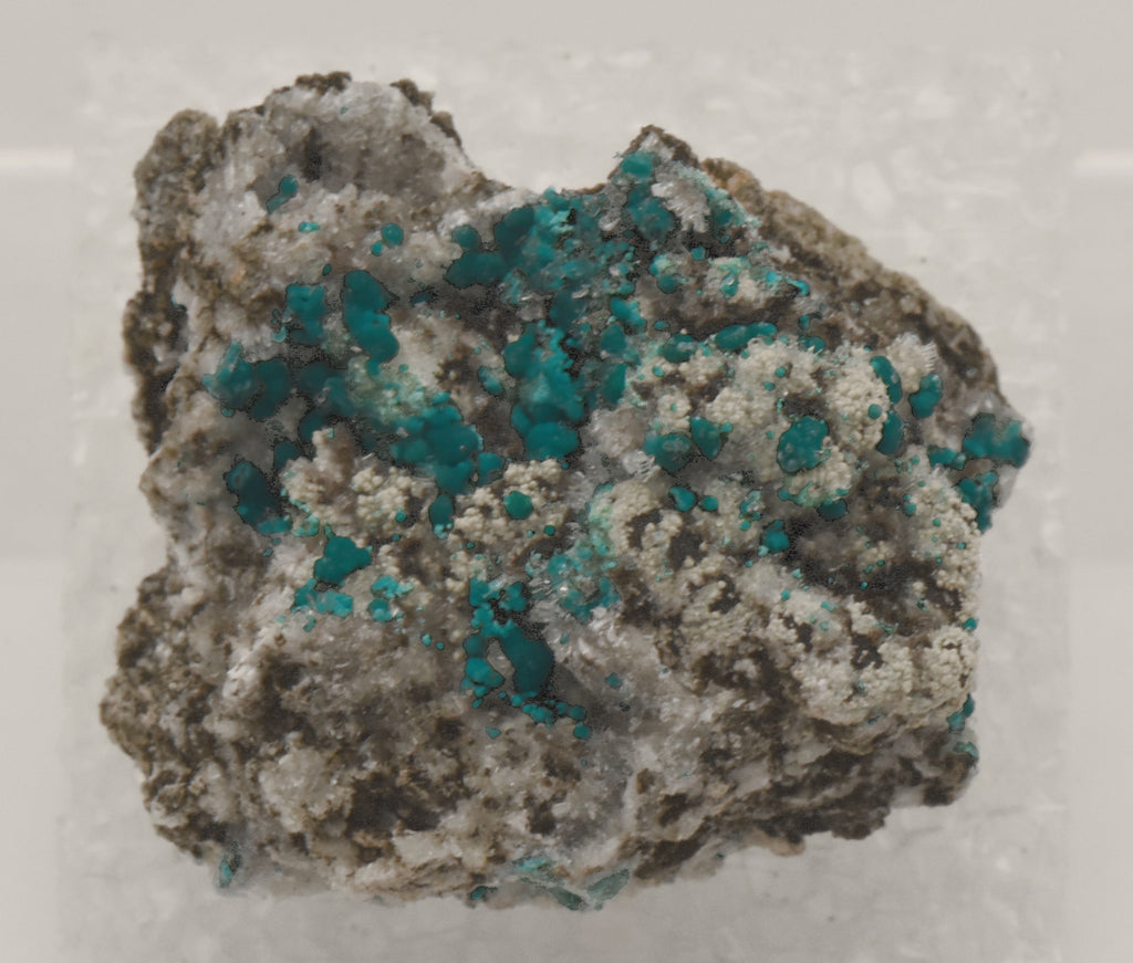Rosasite with Hemimorphite and Aurichalcite Mounted Thumbnail Specimen - Utah