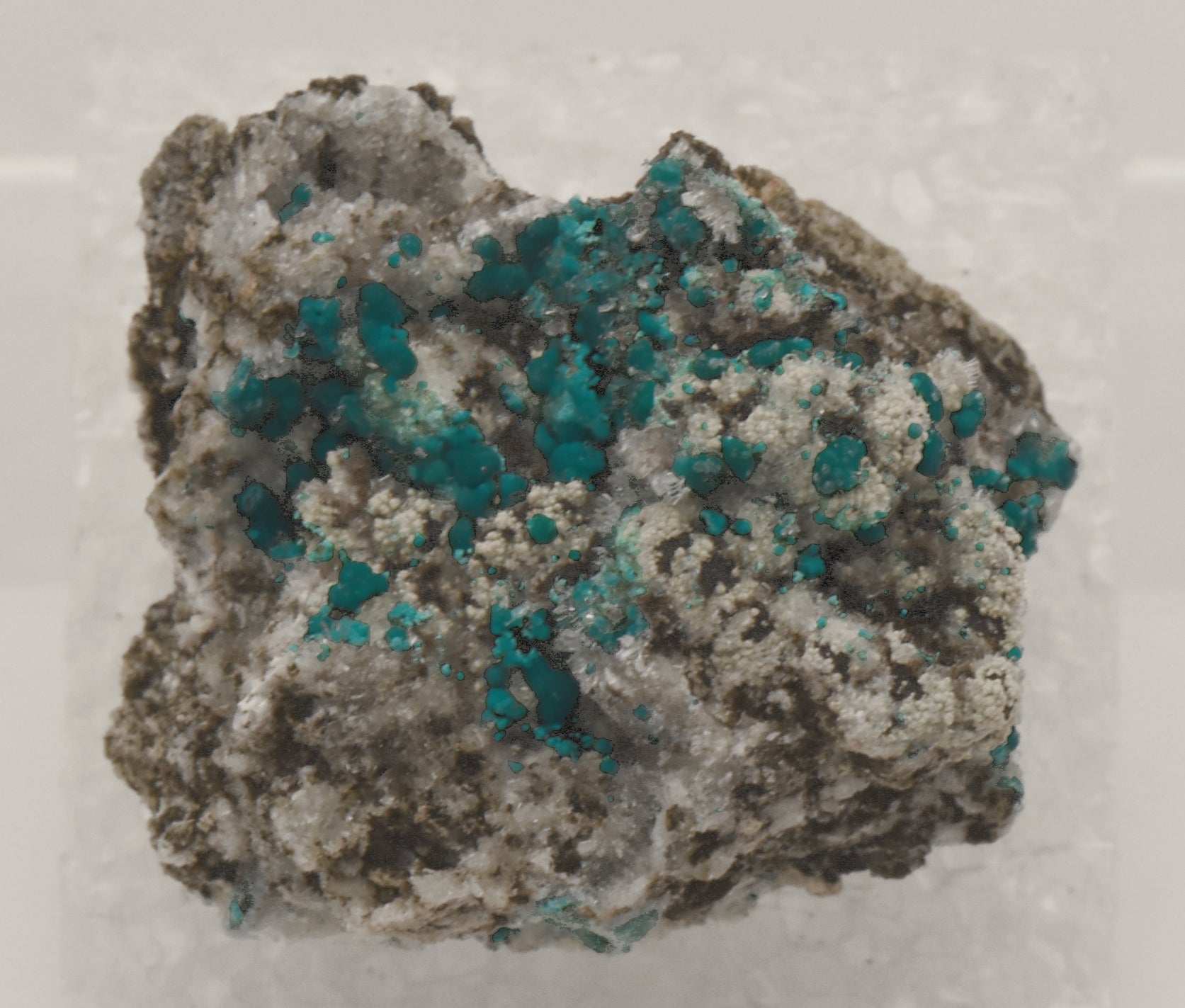Rosasite with Hemimorphite and Aurichalcite Mounted Thumbnail Specimen - Utah