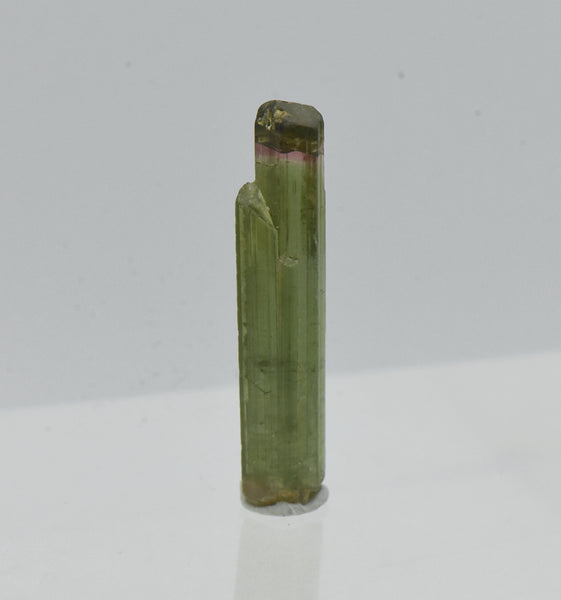 Multi-Colored Tourmaline Crystal Specimen