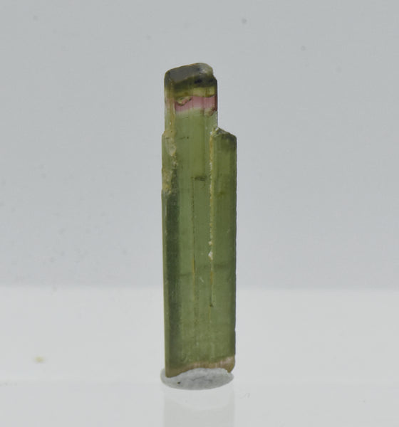 Multi-Colored Tourmaline Crystal Specimen