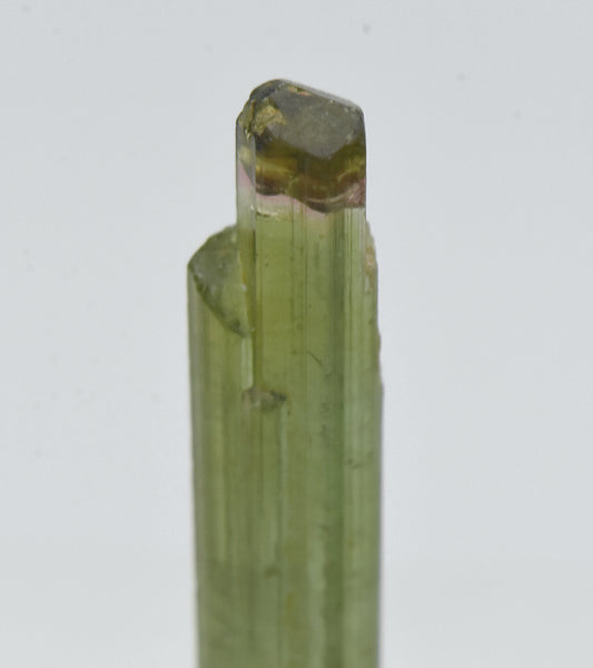 Multi-Colored Tourmaline Crystal Specimen