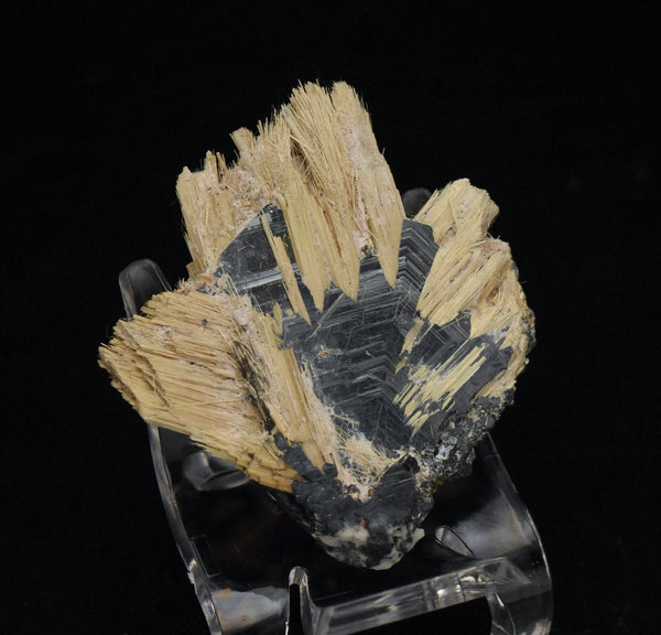 Golden Rutile with Hematite Mineral Specimen - Brazil