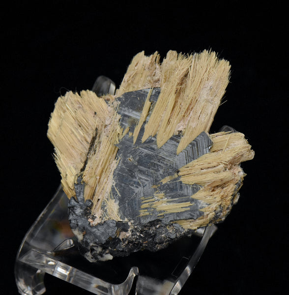 Golden Rutile with Hematite Mineral Specimen - Brazil