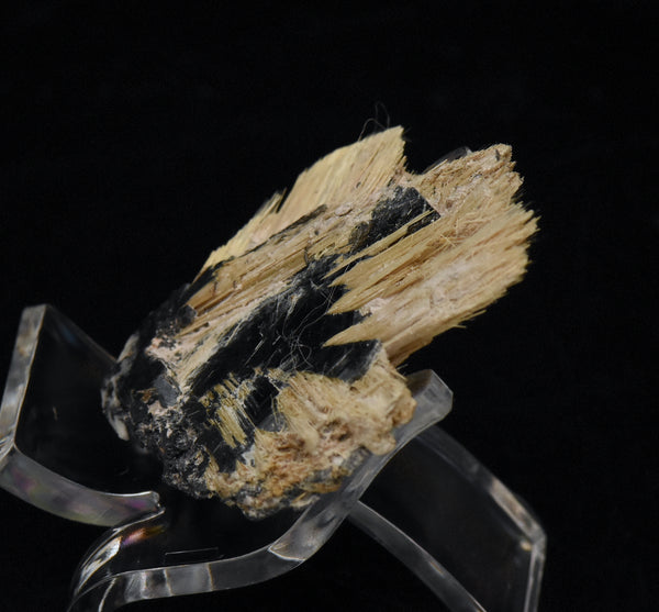 Golden Rutile with Hematite Mineral Specimen - Brazil