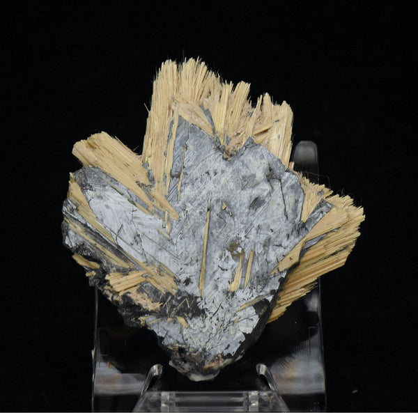 Golden Rutile with Hematite Mineral Specimen - Brazil