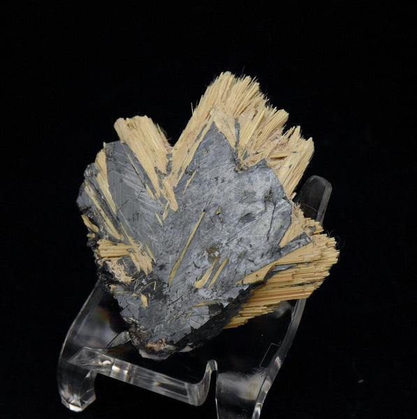 Golden Rutile with Hematite Mineral Specimen - Brazil