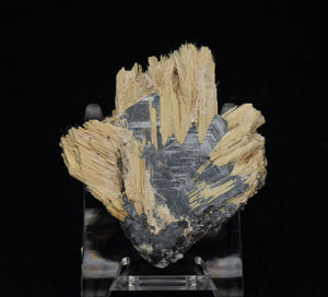 Golden Rutile with Hematite Mineral Specimen - Brazil