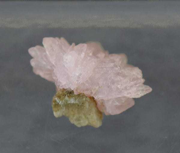 Rose Quartz Crystal Cluster - Afghanistan