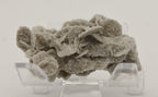 Sand Barite Bladed Crystal Cluster Specimen - Germany