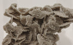 Sand Barite Bladed Crystal Cluster Specimen - Germany