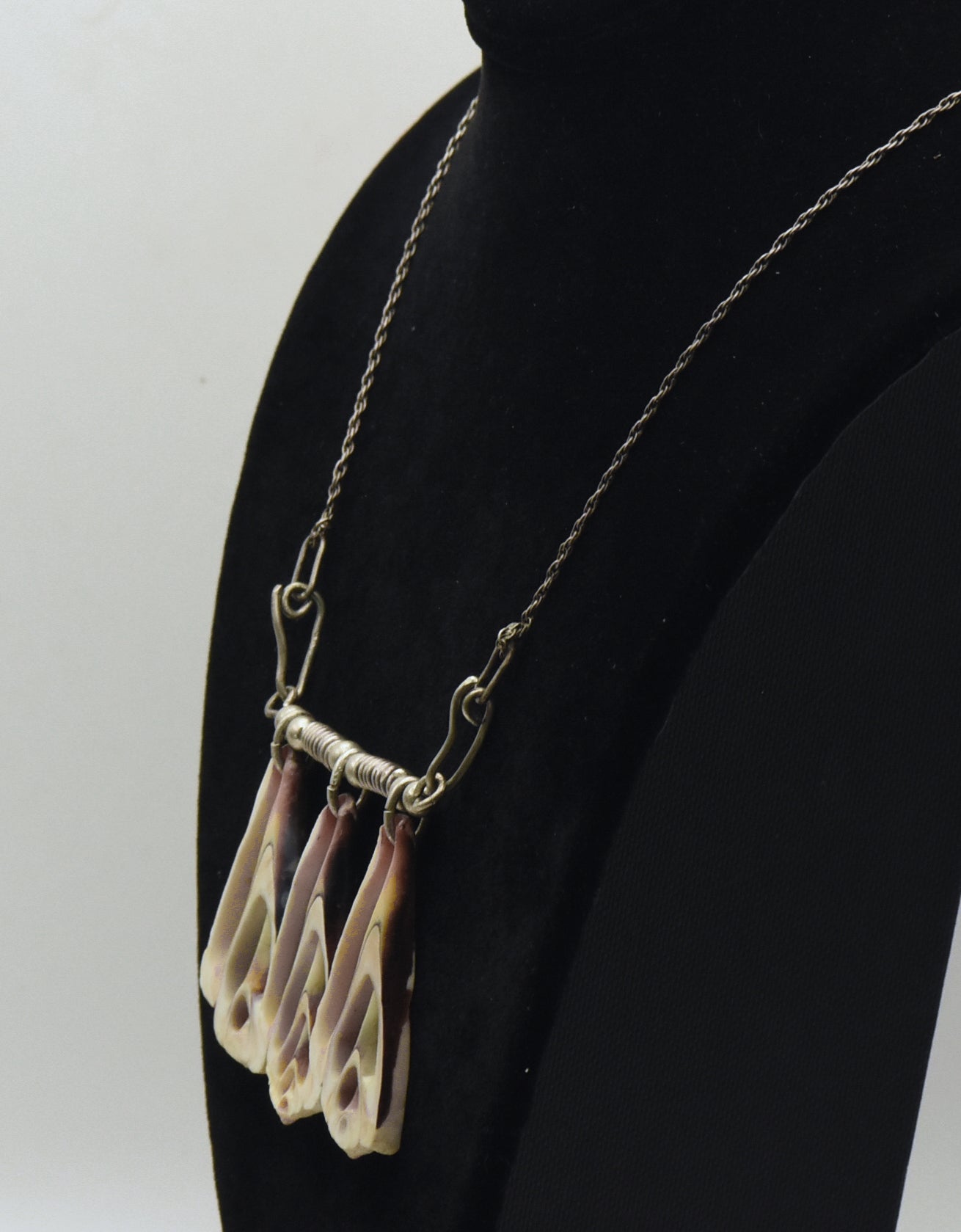 Vintage Seashell Slice Sterling Silver Chain Necklace - 22"