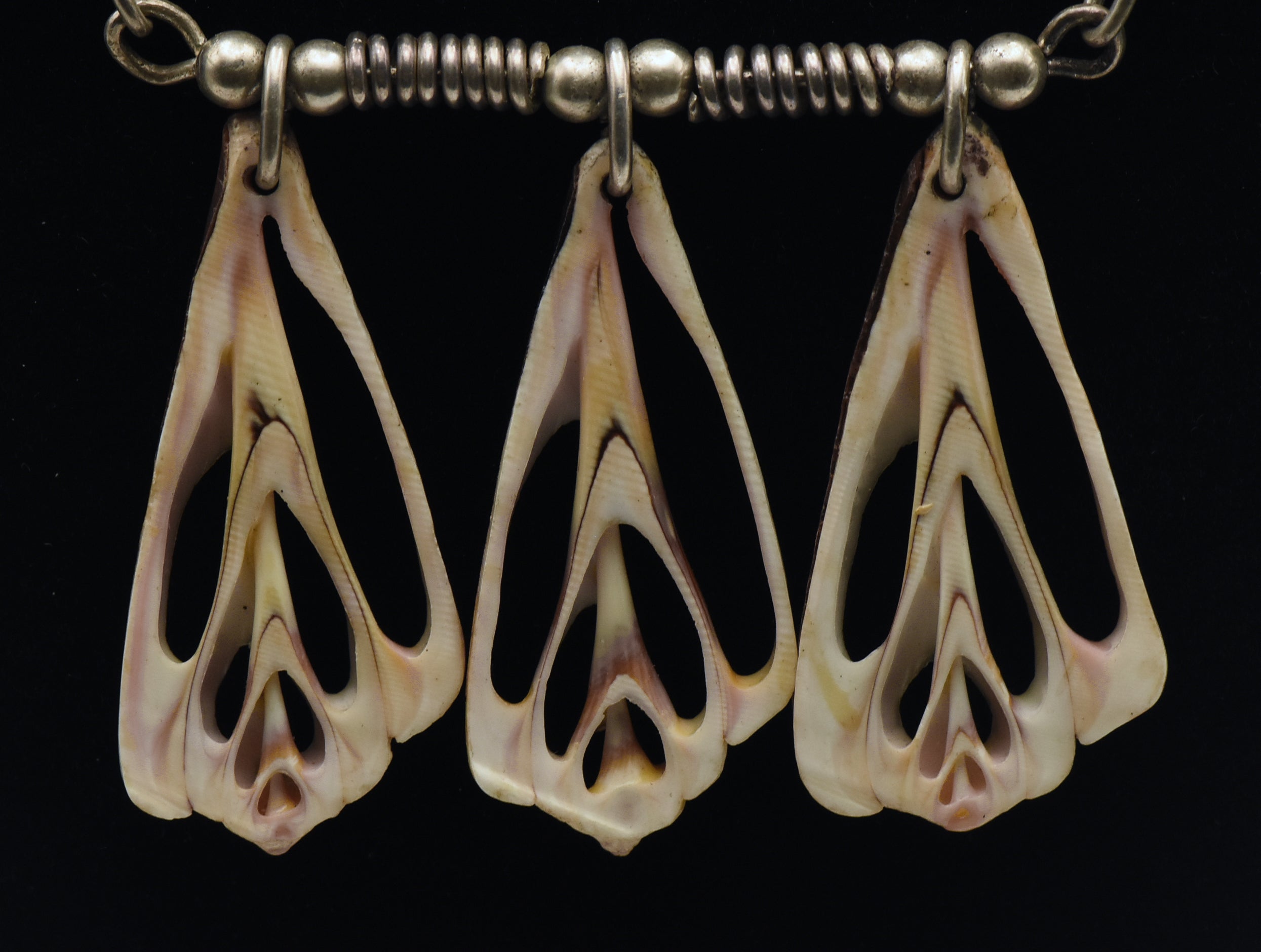 Vintage Seashell Slice Sterling Silver Chain Necklace - 22"