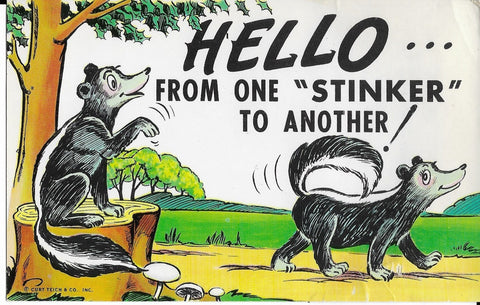 Vintage Humorous Skunk Postcard