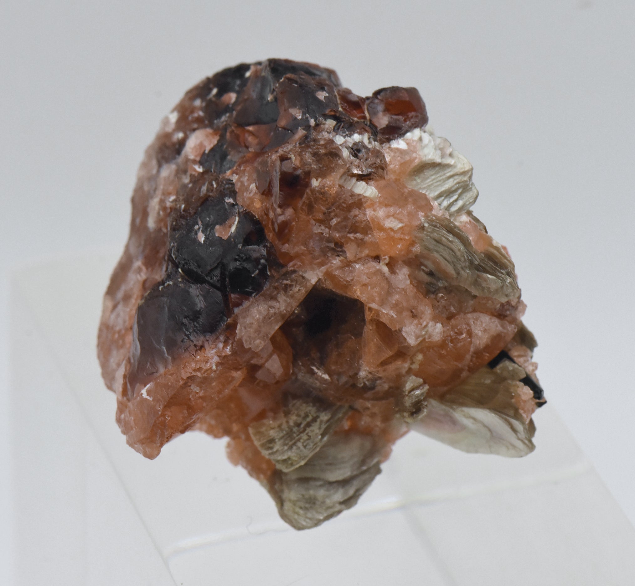 Spessartine Garnet with Muscovite Mineral Specimen - Brazil