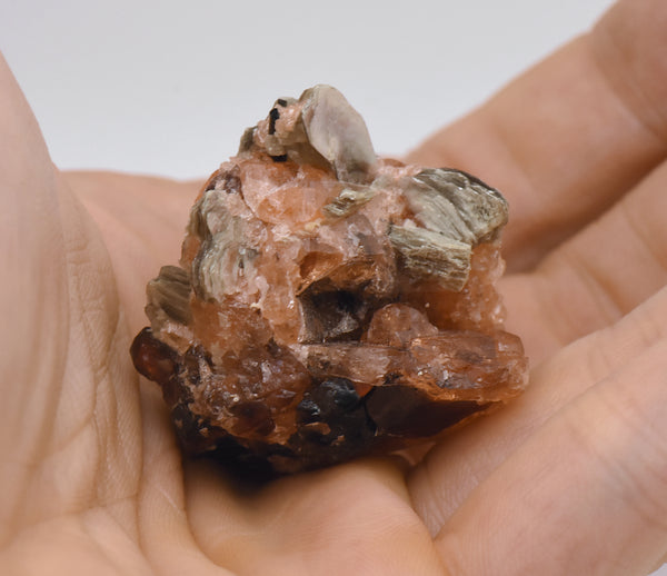 Spessartine Garnet with Muscovite Mineral Specimen - Brazil