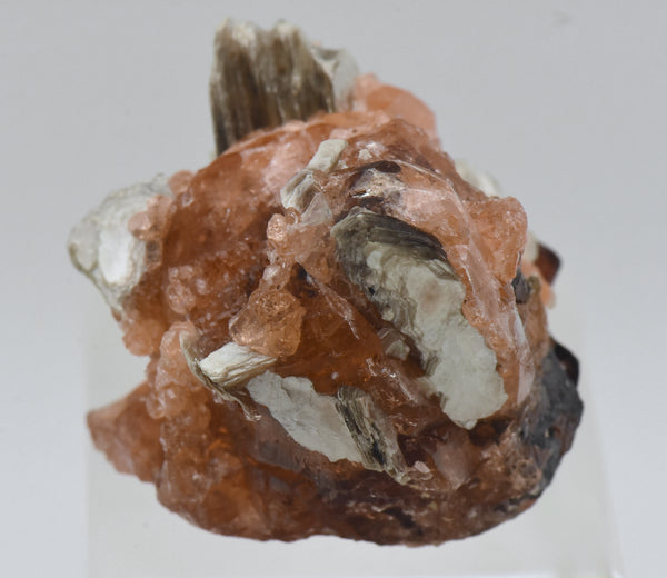 Spessartine Garnet with Muscovite Mineral Specimen - Brazil