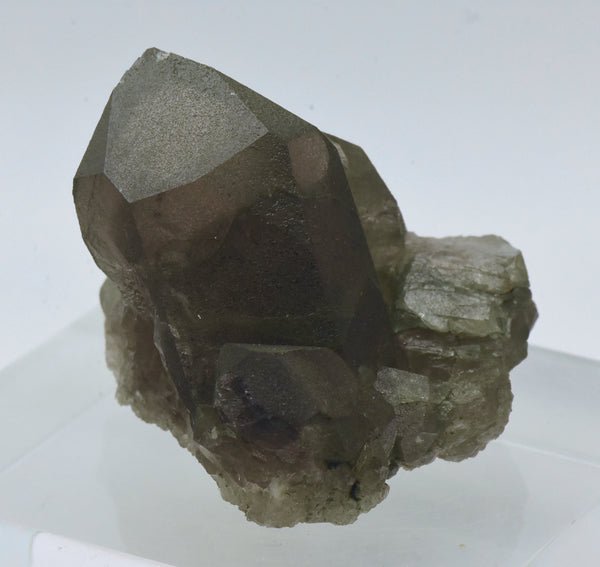 Chlorite Coated Smoky Quartz Crystal Cluster - Switzerland