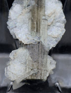 Blue Cap Green Tourmaline "Angel" Wings Mineral Specimen - Pakistan