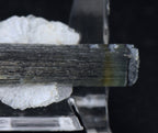 Blue Cap Green Tourmaline "Angel" Wings Mineral Specimen - Pakistan