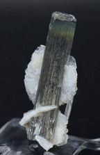 Blue Cap Green Tourmaline "Angel" Wings Mineral Specimen - Pakistan