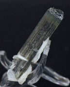 Blue Cap Green Tourmaline "Angel" Wings Mineral Specimen - Pakistan