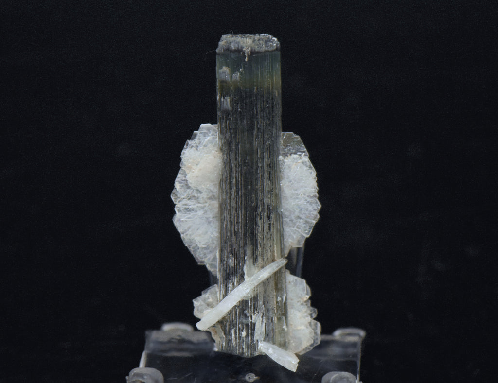 Blue Cap Green Tourmaline "Angel" Wings Mineral Specimen - Pakistan