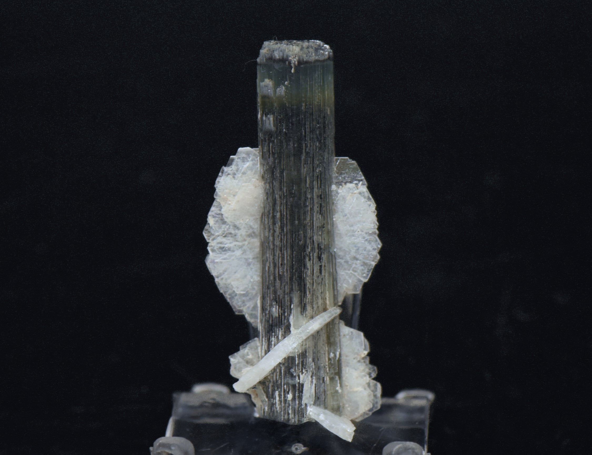 Blue Cap Green Tourmaline "Angel" Wings Mineral Specimen - Pakistan