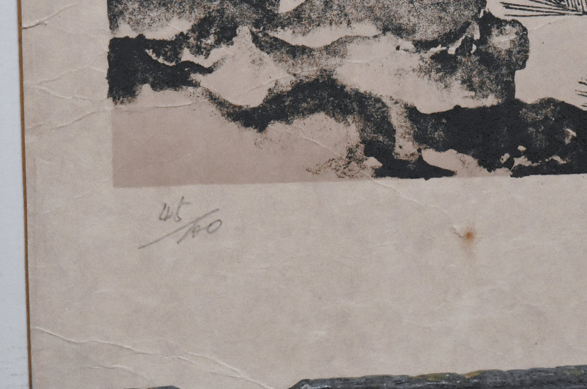 Toshio Hirakawa - Original Signed Limited Edition Print