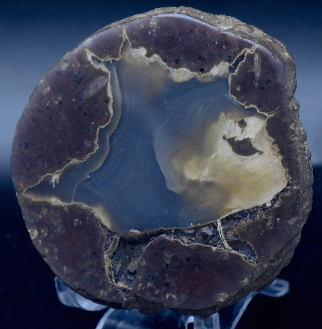 Polished Thunderegg Half - 298g
