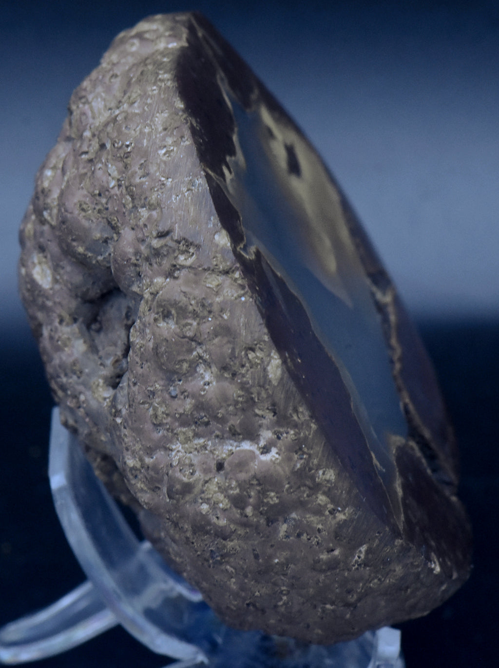 Polished Thunderegg Half - 298g