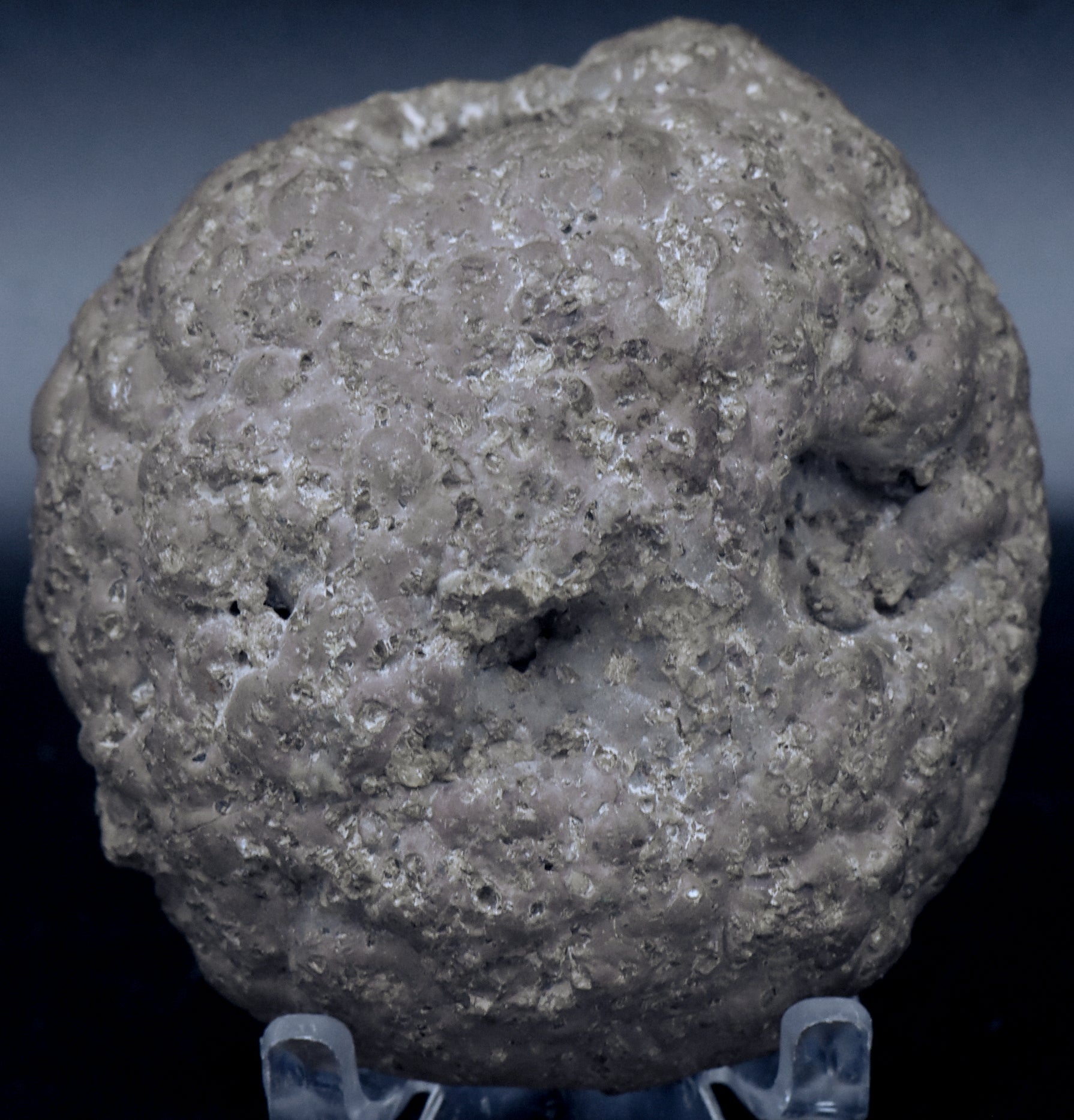 Polished Thunderegg Half - 298g