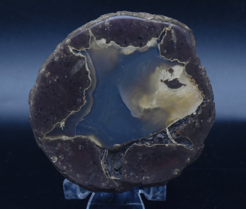 Polished Thunderegg Half - 298g